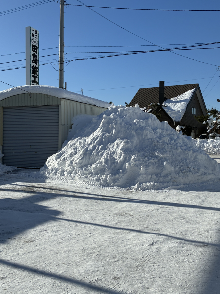 12月22日 大雪 | 北海道農業を支える有機質肥料・土壌改良販売 | 株式